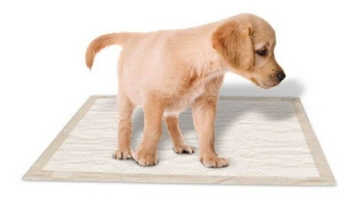 Paños Adiestramiento Alfombra Sanitaria Cachorro 30% Off!!