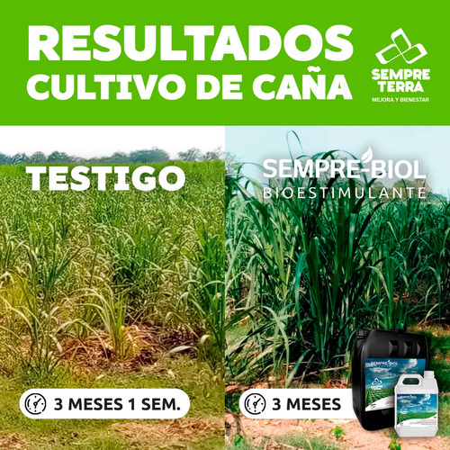 Humus Liquido + Algas Marinas + Concentrado Bacterias 20l
