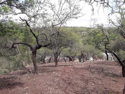Terreno En La Granja Sobre Ruta E53