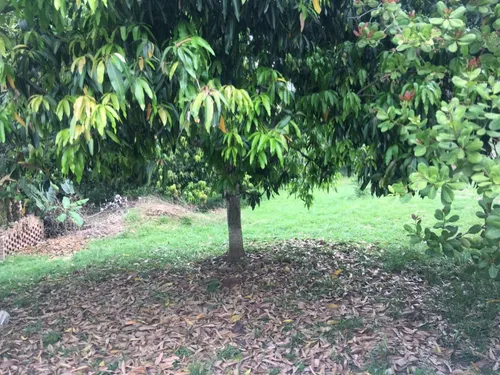 Espectacular Precio!! Casa En Condominio Video: Https://youtu.be/99-upohywxc