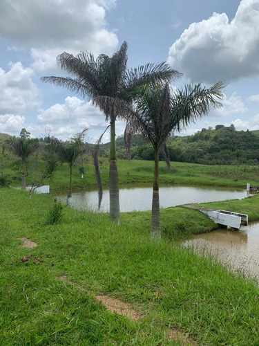 Imagem 18 de 26 de Tm- Vendo Lote Barato Tratar Direto Com Proprietário