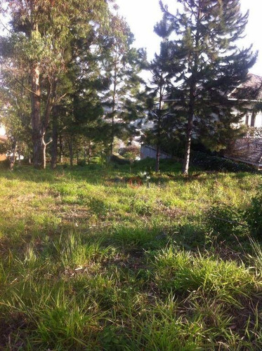 Imagem 1 de 7 de Terreno Residencial À Venda, Residencial Euroville, Carapicuíba - Te0802. - Te0802