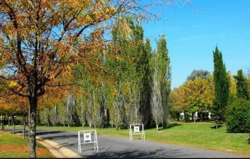 Imagen 8 de 10 de Terreno - Santa Lucia