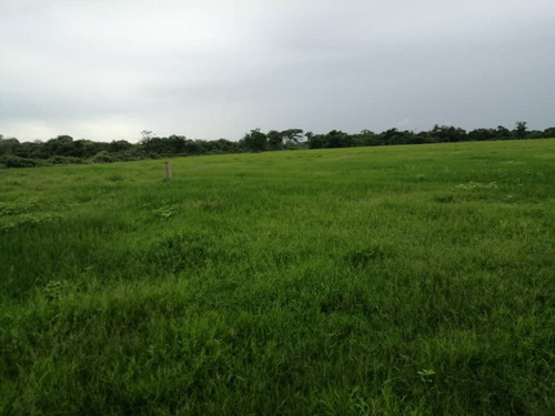 Imagen 6 de 17 de De Oportunidad Vendo Finca En El Cantón 283 Hectáreas Ah