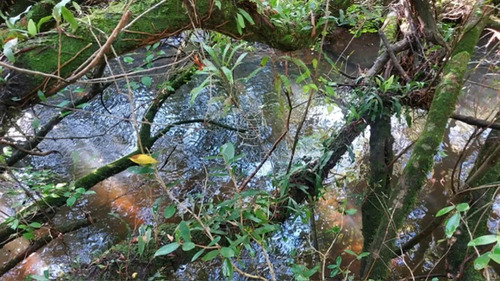 Campo De 80 Has En Paraje Carape Con Costa De Arroyo.