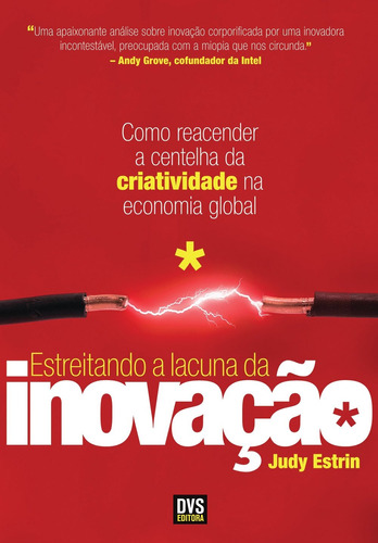 Estreitando a Lacuna da Inovação: Como reacender a centelha da criatividade na economia global, de Estrin, Judy. Dvs Editora Ltda, capa mole em português, 2010