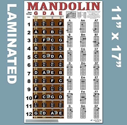 Póster De Mandolina Laminada Con Notas Y Tabla De Acorde Par