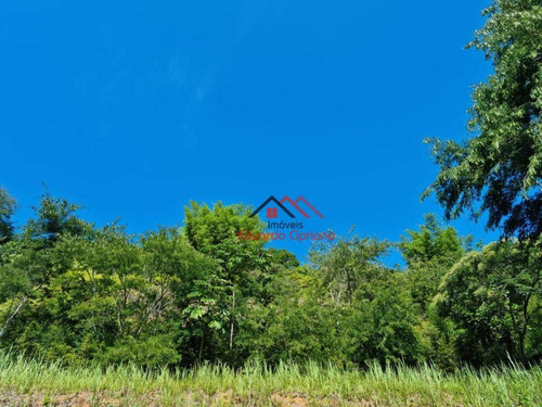 Imagem 4 de 6 de Terreno À Venda, 337 M² Por R$ 260.000,00 - Martim De Sá - Caraguatatuba/sp - Te0206