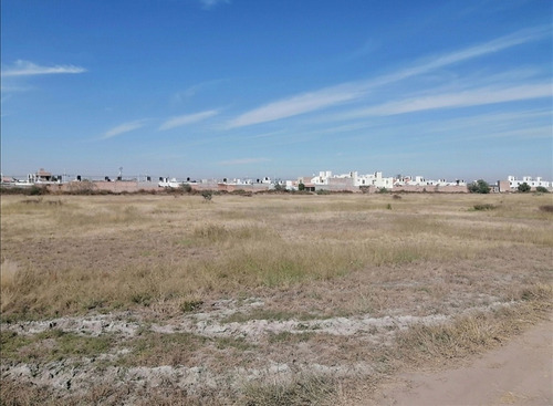 Terreno En Renta Cerca De Zona Industrial