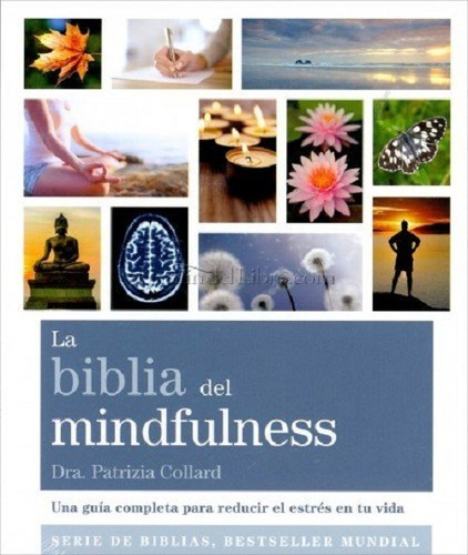 Biblia De Mindfulness