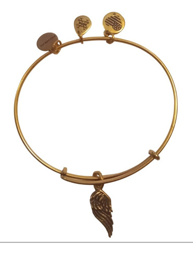 Alex And Ani Pulseras Brazaletes Enchapadas En Oro C/dijes Dorado Oscuro 3 Cm 3 Cm