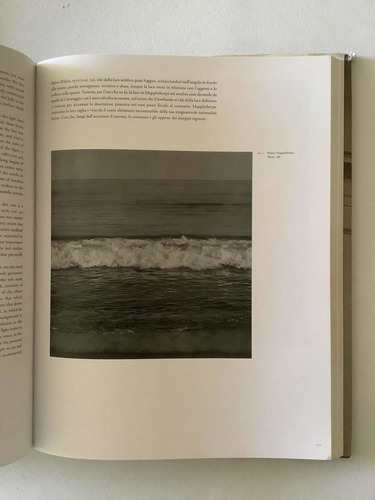 Mapplethorpe - Perfection In Form (Usado)