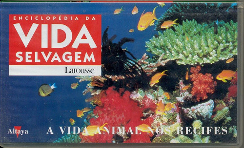 Imagem 8 de 10 de Coleção Vida Selvagem Em Vídeo Vhs Larousse Vários Episódios