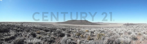 Imagen 3 de 15 de Venta Campo Productivo En La Pre-cordillera De 10623 Hectareas Cria De Ganado