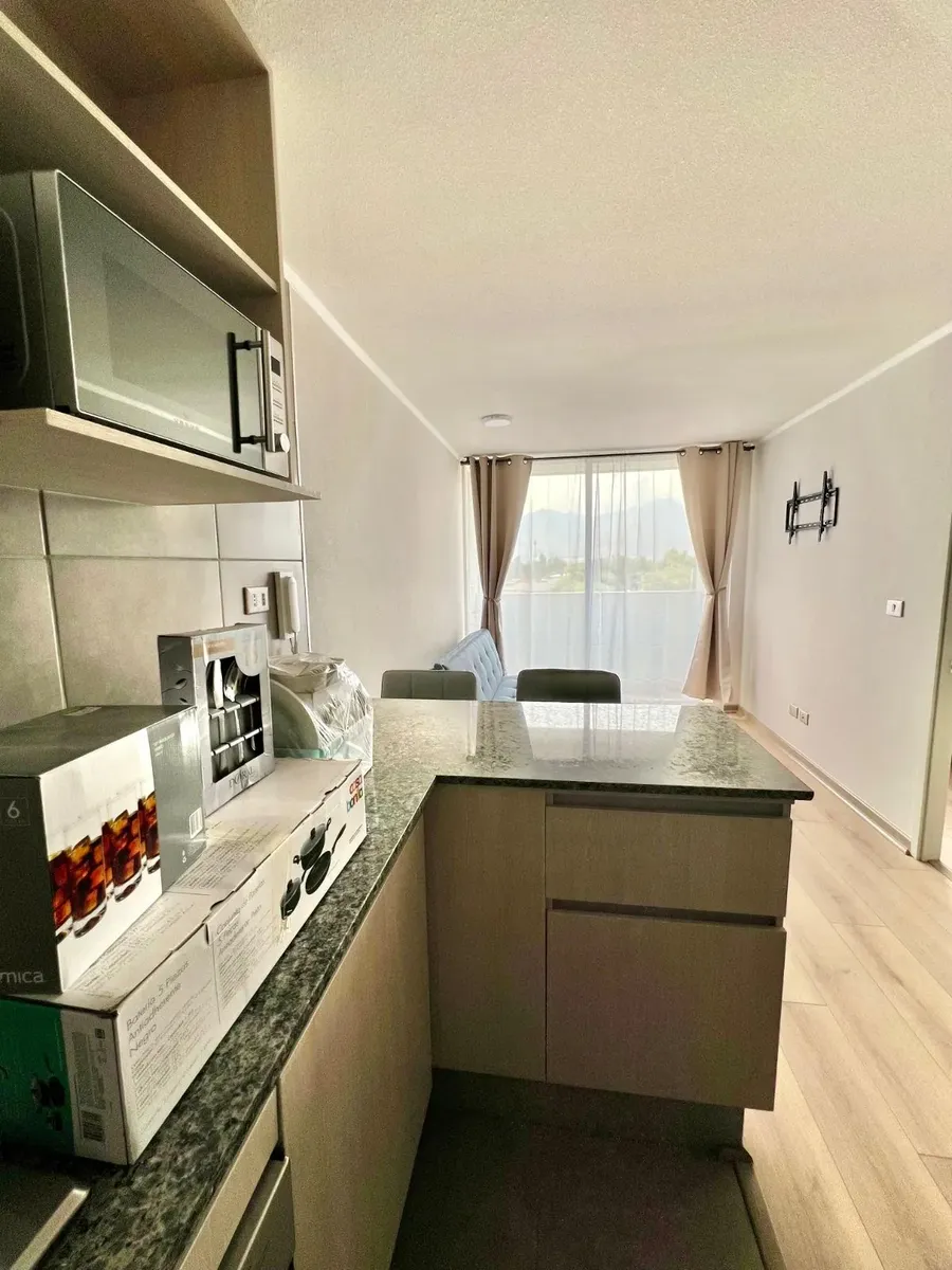 Imagen 1 de 24 de Sin Corretaje - Amoblado + Est Y Bodega - Agosto A $150.000