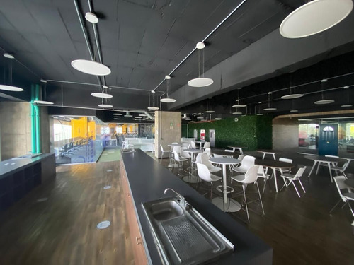Oficina Plug And Play De 3,439 M² En Renta: Espacio Amplio Y Listo Para Ocuparlo