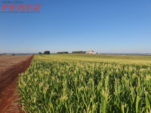 Imagem 7 de 24 de Chácaras_sítios_fazendas Para Venda - 13650.8047