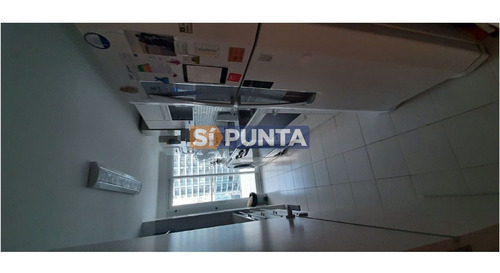 Imagen 7 de 30 de Apartamento En Alquiler Anual