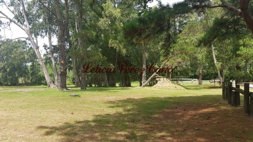 Venta De Chacra En Maldonado, Punta Ballena 5 Has - Ref: 19265