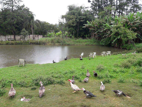 Imagem 18 de 30 de Tá Tudo Aqui, Quatinga Casa, Pasto, Córrego, Lago, Só Usufruir. - V170