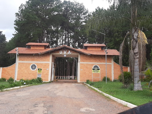 Imagem 21 de 22 de Chacara - Ch00023 - 69981433
