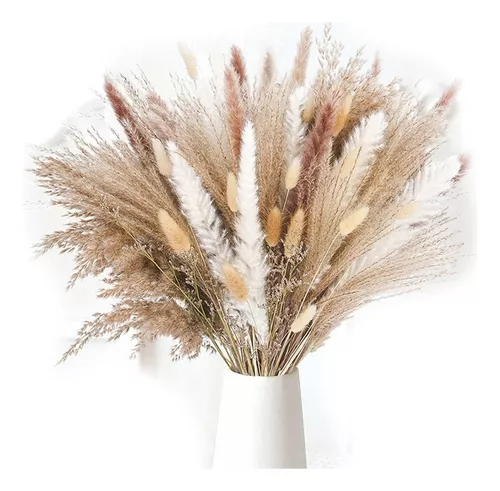 30pcs Hierba De Pampas Natural, 17 Pulgadas / 43 Cm Ramas De Hierba De  Pampas Secas Naturales Para Decoración De Hogar, Cocina, Jardín,  Fotografía, Ar