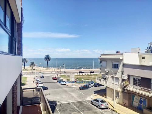 Imagen 9 de 22 de Edificio De Oficinas Exclusivo - P. Rodó - Venta Con Renta