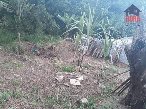 Imagem 7 de 11 de Terreno À Venda, 250 M² Por R$ 80.000 - Cabreúva - Mairiporã/sp - Te0229