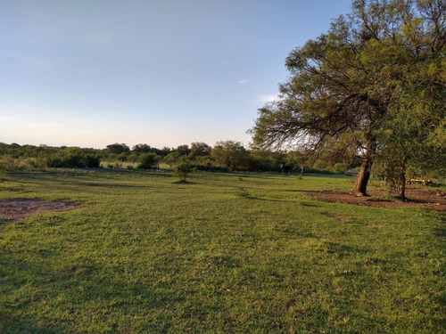 Imagen 8 de 19 de Excelente Campo En Chuchiras, San Javier