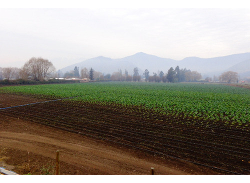 Terreno De 4 Hectáreas Con Casa Y Cabaña Excelente Ubicación