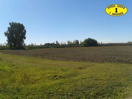 1882sa-lote De 5.000 M2 En San Rafael Mendoza