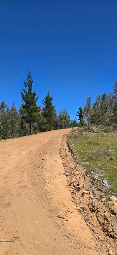 Parcelas A 35 Min De Pichilemu Rol Propio A 10 Min Ruta I-90