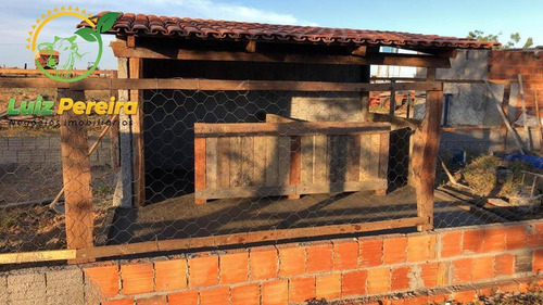 Imagem 11 de 13 de Fazenda Em Taipas - To - 2.080 Hec - Agricultura - 1916