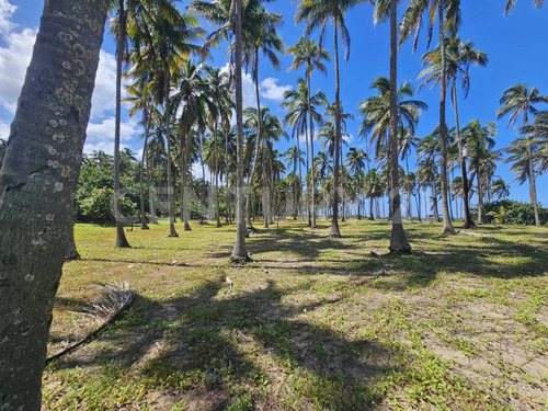 Terreno En Golfo De México, Playa Sol R/a Las Flores, Paraíso Tabasco
