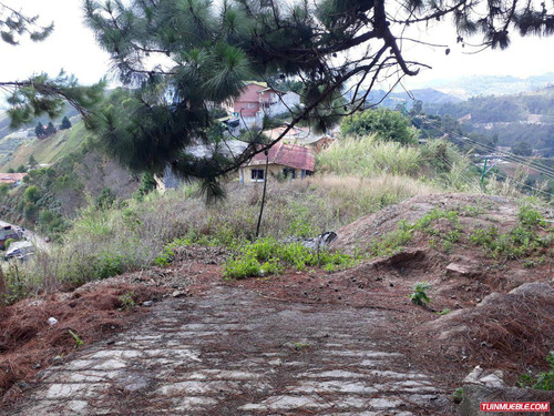 Imagen 8 de 9 de Terrenos En Venta