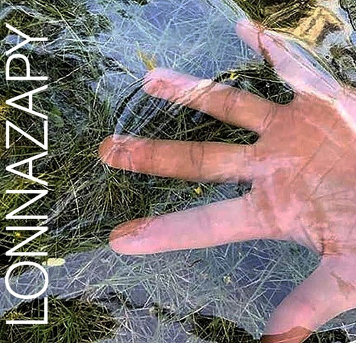 Lona Transparente Com Ilhós - Lonnazapy