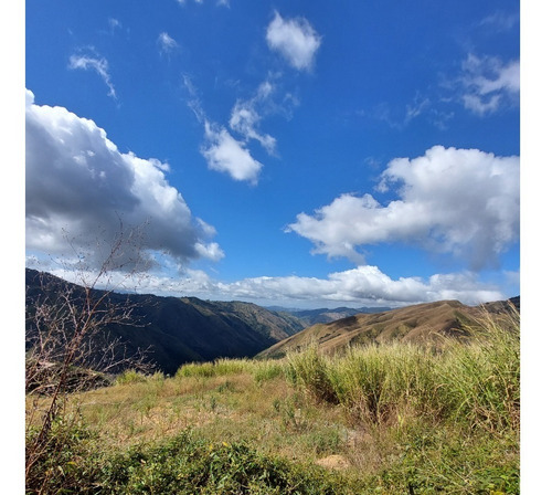 Imagen 11 de 21 de Best House Vende Terreno En El Jarillo Cerca De Quebrada Honda