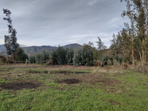 Terreno De 4 Ha Con Luz ,despejado, Excelente Ubicaci