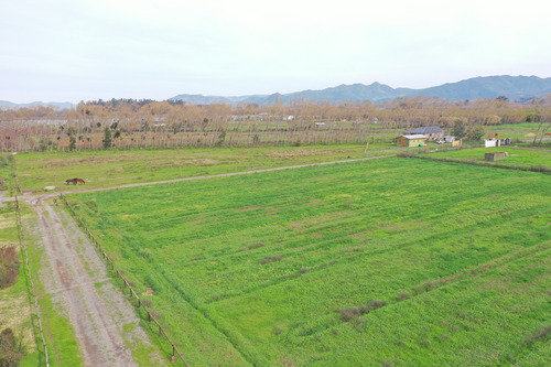 Venta Parcelas Nenquen, Santa Cruz.