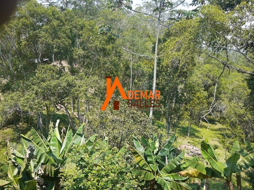 Imagem 8 de 30 de Chacara - Ch00095 - 68699428