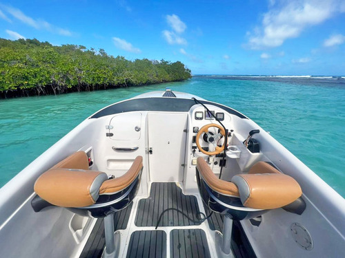 Lancha Promarine Sport 26 Lv2934