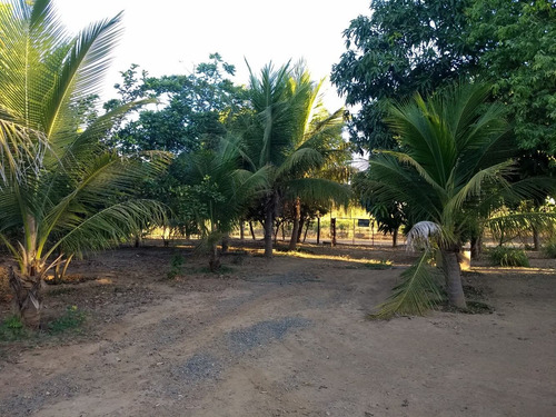 Imagem 11 de 14 de Chácara 3 Hectares , Casa, Agua Luz Beira Rio S Fraco