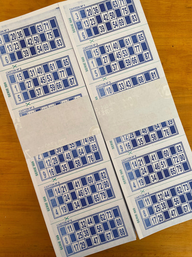 Caja Cartones De Bingo 2016 Unidades X 10 Series
