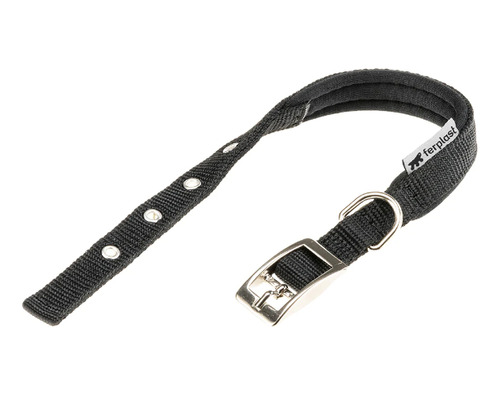 Collar Para Perro - Daytona C30/55 Negro + Envío