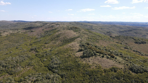 Campo En Rocha De 137ha (ref: Atm-6803)