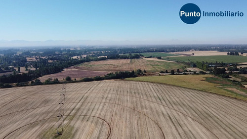 Imagen 7 de 13 de Abundante Agua. Uso Agrícola Y Frutícola