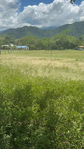 Lotes En Chucuni Gran Oportunidad De Negocio