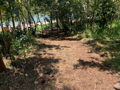 Imagem 5 de 12 de E.c/ Não Perca Essa Chance De Compra Seu Terreno