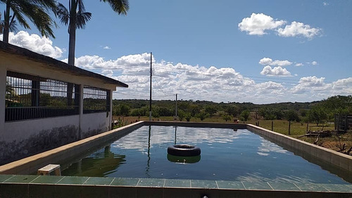 Finca En El Placer, Parroquia Carmen De Cura, Municipio Camatagua Del Estado Aragua. Pfml