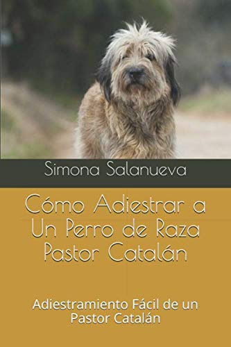 Como Adiestrar A Un Perro De Raza Pastor Catalan: Adiestrami